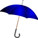 umbrella insurance need