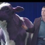 how to improve your credit score experian boost